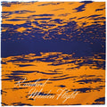 the album cover for Rainbird - Maiden Flight