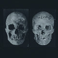 the album cover for Government Alpha - Human Race Was Restored To Life Repeatedly