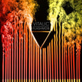 the album cover for Vitalic - Flashmob (2026 Edition) [Limited Edition]