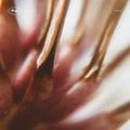 the album cover for Nastia - TECH041