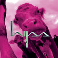 the album cover for Hijss - Hijss [Colored Vinyl] [Limited Edition] (Ylw)