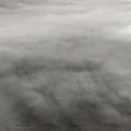the album cover for Lynn Wright - Before The Sinking Plains