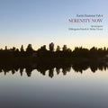 the album cover for Karin Hammar Fab 4 - Serenity Now