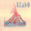 the album cover for Animal Invisivel - Brado