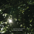 the album cover for Jem Finer  / Matthias,John - Almost Starlight