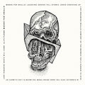 the album cover for Scorpion Milk - Flesh Masks For Skulls