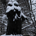 the album cover for Mortualia - Cold In The Earth