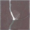 the album cover for Simon Popp - Trio (Slv)