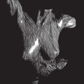 the album cover for Oceansize - Self Preserved While The Bodies Float Up