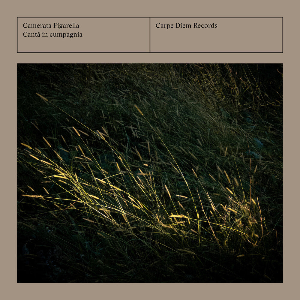 the album cover for Camerata Figarella - Canta In Cumpagnia