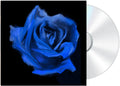 the album cover for Current Joys - Rosebud [Digipak]