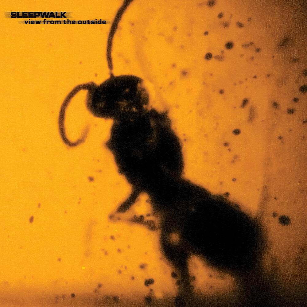 the album cover for Sleepwalk - View From The Outside