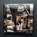 the album cover for Nurse With Wound - Sic (Dark Ice Vinyl)