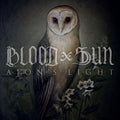 the album cover for Blood & Sun - Aion's Light