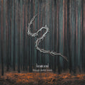 the album cover for Lunatic Soul - Through Shaded Woods