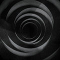 the album cover for Cult Of Luna - In The Shadow Of Your Shadow (Digb)