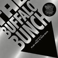 the album cover for Buffalo Bunch - Musical Journey With Play Paul & Raw Man