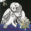 Songs: Ohia - Magnolia Electric Co. CD
