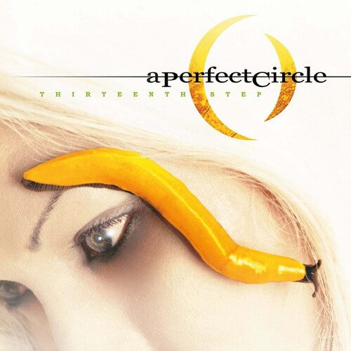 A Perfect Circle - Thirteenth Step Vinyl